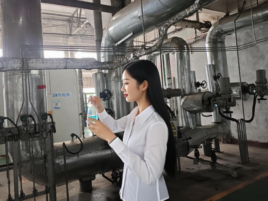 電廠蒸汽鍋爐水汽系統(tǒng)