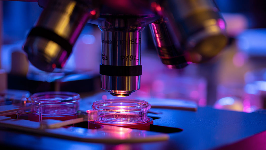 便攜式微量溶解氧檢測儀在半導(dǎo)體超純水檢測中的應(yīng)用